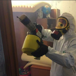 Уничтожение клопов в квартире. Называевск
